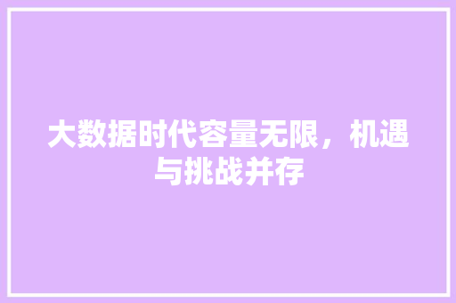 大数据时代容量无限，机遇与挑战并存  第1张