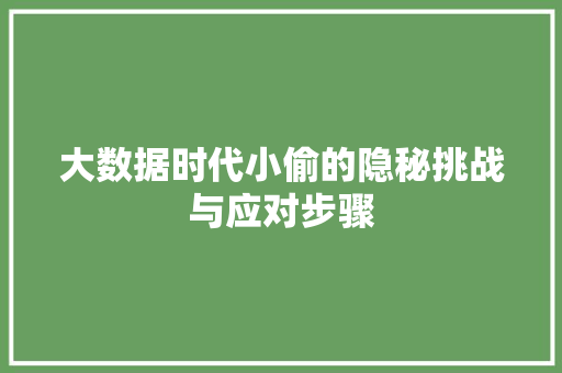 大数据时代小偷的隐秘挑战与应对步骤  第1张