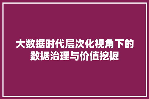 大数据时代层次化视角下的数据治理与价值挖掘