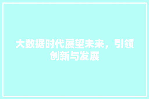 大数据时代展望未来，引领创新与发展  第1张