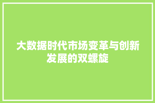 大数据时代市场变革与创新发展的双螺旋  第1张