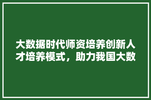 大数据时代师资培养创新人才培养模式，助力我国大数据产业发展  第1张