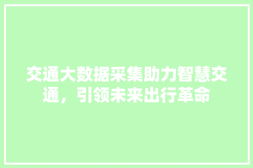 交通大数据采集助力智慧交通，引领未来出行革命  第1张