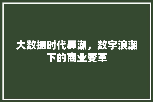 大数据时代弄潮，数字浪潮下的商业变革