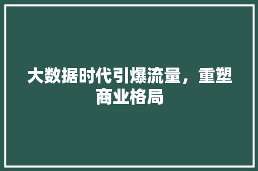 大数据时代引爆流量，重塑商业格局  第1张