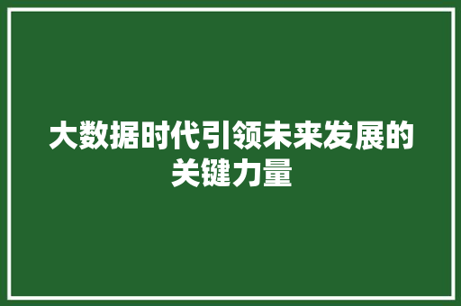 大数据时代引领未来发展的关键力量  第1张
