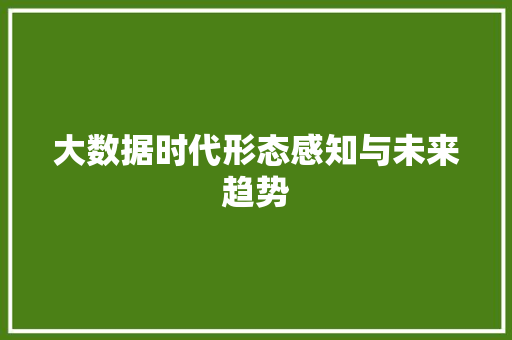 大数据时代形态感知与未来趋势