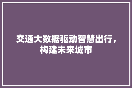 交通大数据驱动智慧出行，构建未来城市  第1张