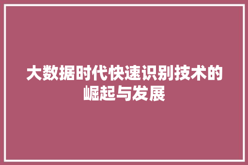 大数据时代快速识别技术的崛起与发展