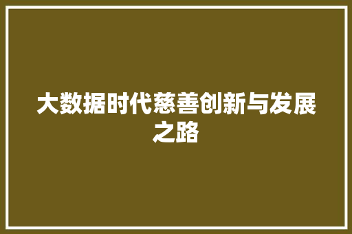 大数据时代慈善创新与发展之路  第1张