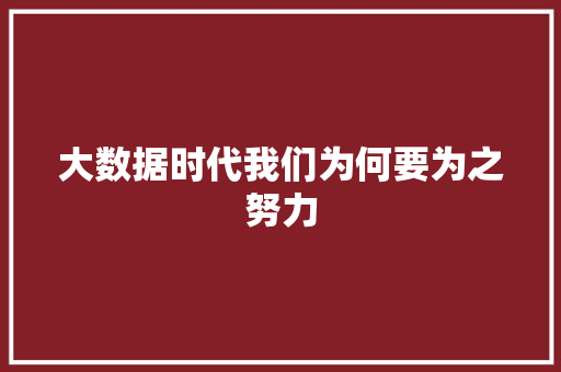 大数据时代我们为何要为之努力  第1张