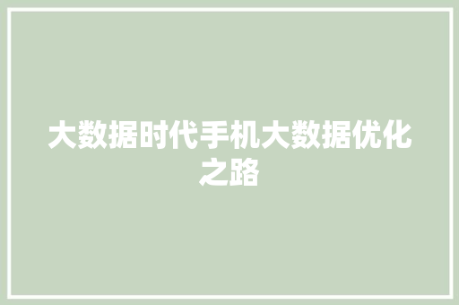 大数据时代手机大数据优化之路