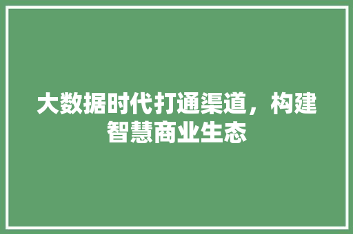 大数据时代打通渠道，构建智慧商业生态  第1张