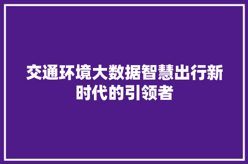 交通环境大数据智慧出行新时代的引领者  第1张