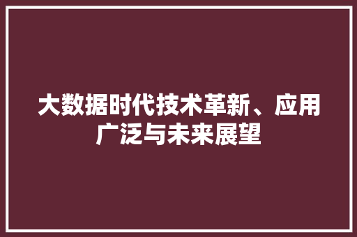 大数据时代技术革新、应用广泛与未来展望  第1张