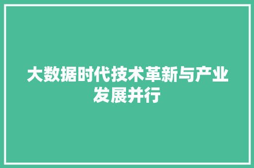 大数据时代技术革新与产业发展并行