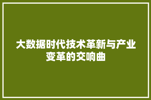大数据时代技术革新与产业变革的交响曲