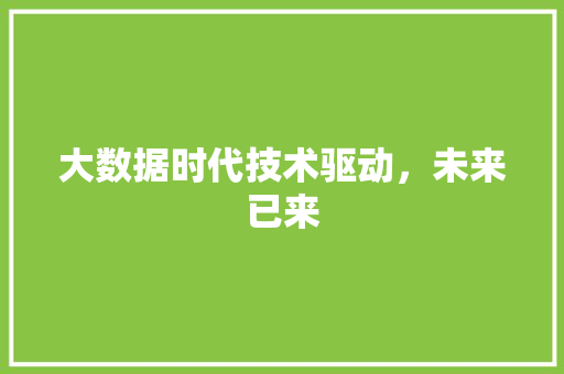 大数据时代技术驱动，未来已来