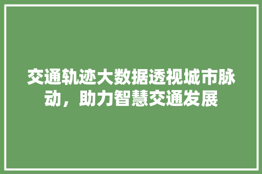 交通轨迹大数据透视城市脉动，助力智慧交通发展