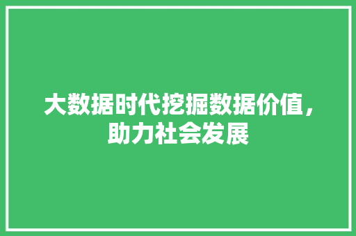 大数据时代挖掘数据价值，助力社会发展