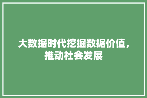 大数据时代挖掘数据价值，推动社会发展