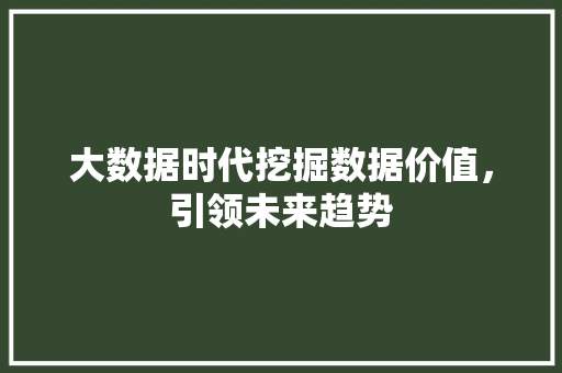 大数据时代挖掘数据价值，引领未来趋势