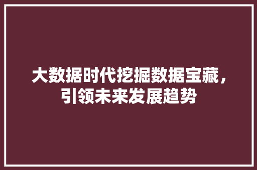 大数据时代挖掘数据宝藏，引领未来发展趋势