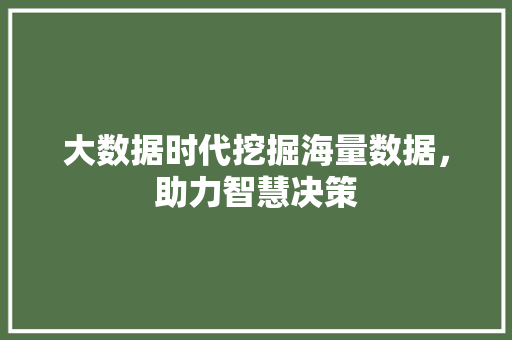 大数据时代挖掘海量数据，助力智慧决策