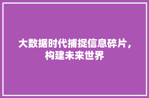 大数据时代捕捉信息碎片，构建未来世界