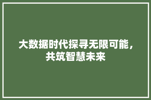 大数据时代探寻无限可能，共筑智慧未来  第1张