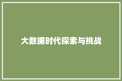 大数据时代探索与挑战  第1张
