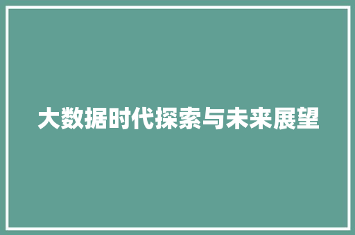 大数据时代探索与未来展望  第1张