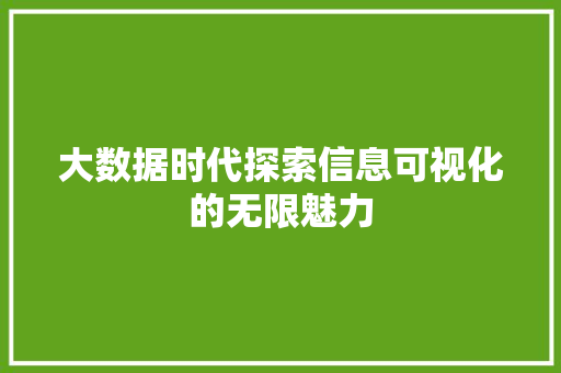 大数据时代探索信息可视化的无限魅力
