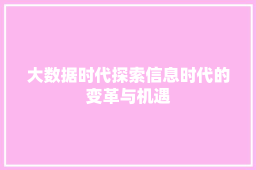 大数据时代探索信息时代的变革与机遇  第1张