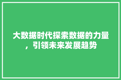 大数据时代探索数据的力量，引领未来发展趋势