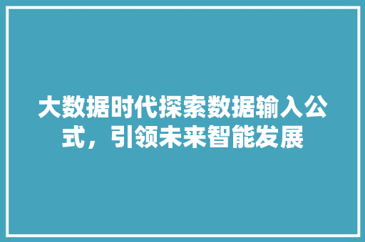 大数据时代探索数据输入公式，引领未来智能发展