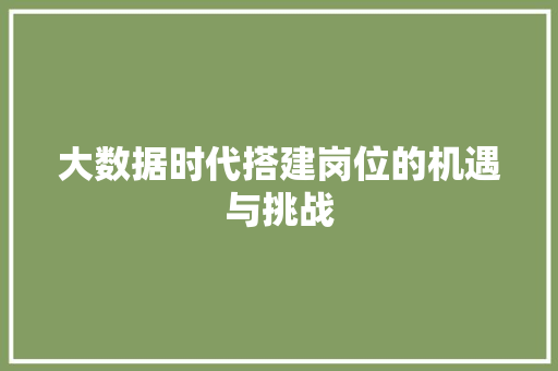 大数据时代搭建岗位的机遇与挑战