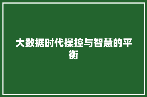 大数据时代操控与智慧的平衡