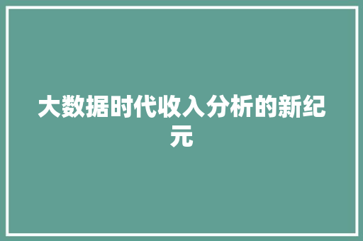 大数据时代收入分析的新纪元