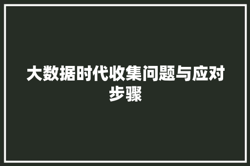 大数据时代收集问题与应对步骤
