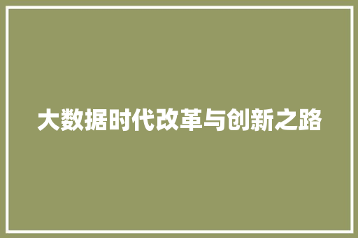 大数据时代改革与创新之路