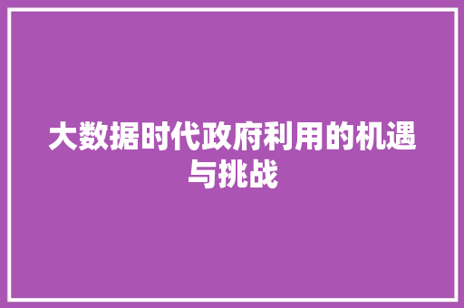 大数据时代政府利用的机遇与挑战