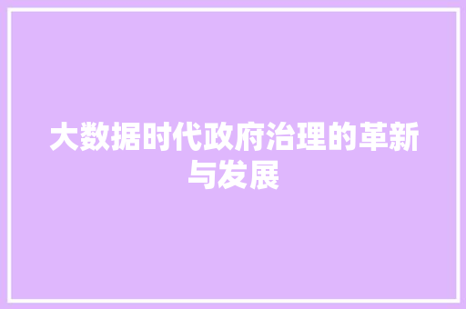 大数据时代政府治理的革新与发展