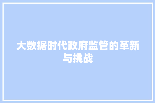 大数据时代政府监管的革新与挑战  第1张