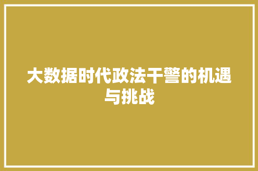 大数据时代政法干警的机遇与挑战