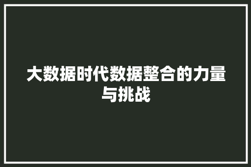 大数据时代数据整合的力量与挑战