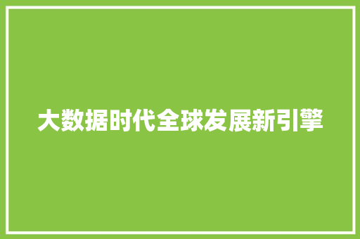 大数据时代全球发展新引擎
