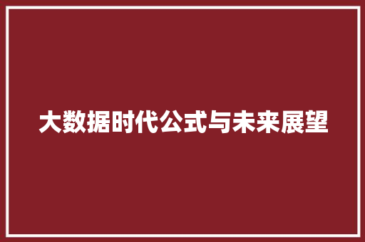 大数据时代公式与未来展望