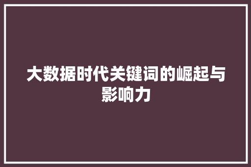 大数据时代关键词的崛起与影响力  第1张