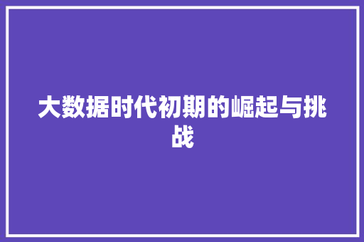 大数据时代初期的崛起与挑战  第1张